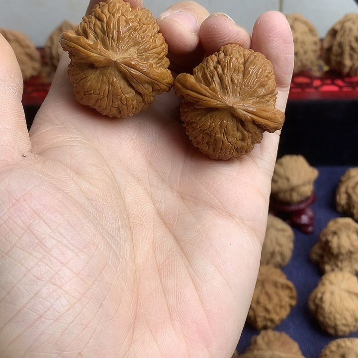 一***豆吊坠文玩核桃白狮子上色了