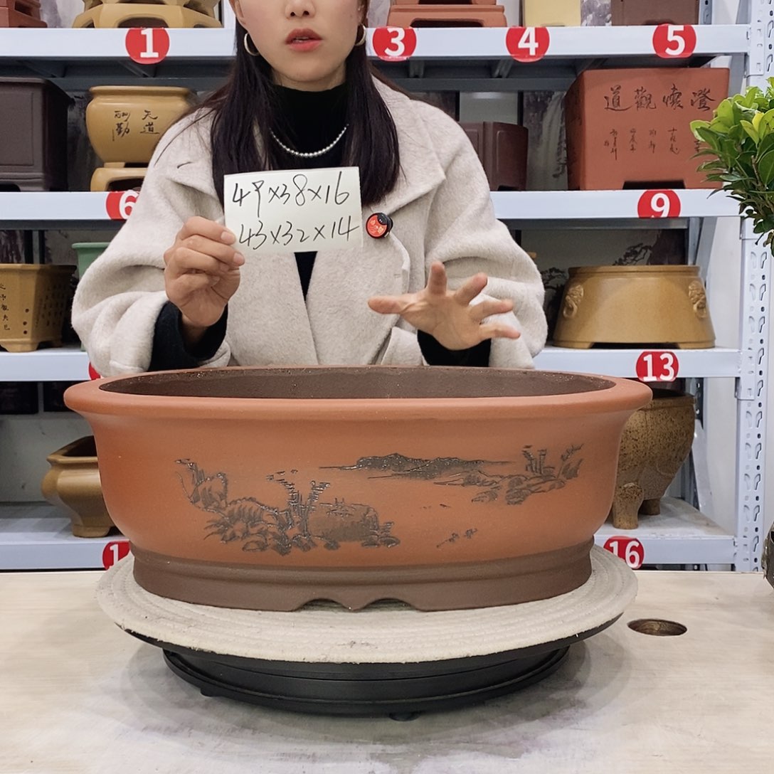 紫砂花盆紫砂花盆