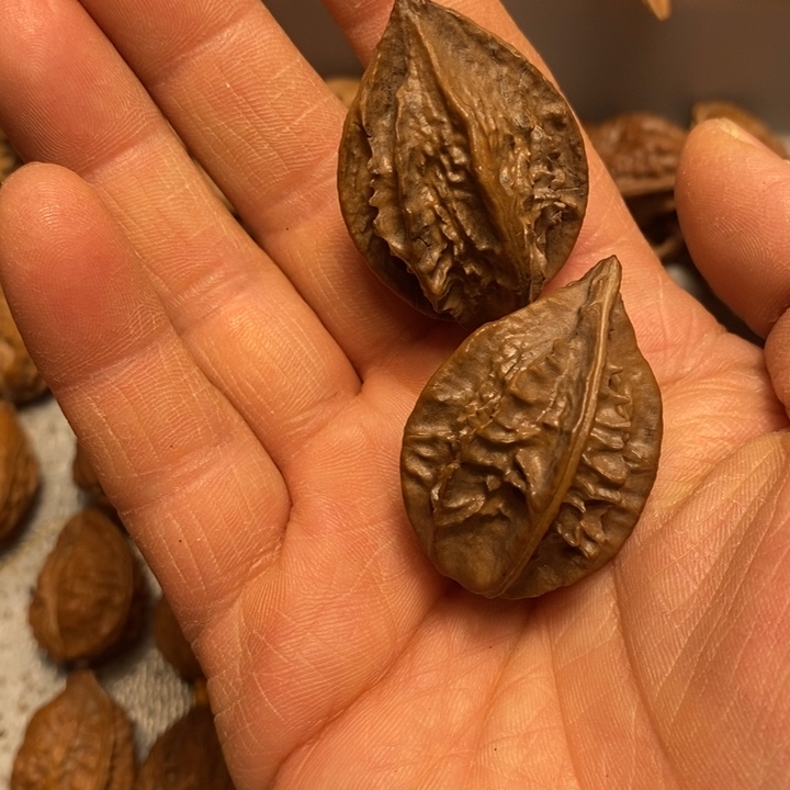 吊坠文玩核桃不错