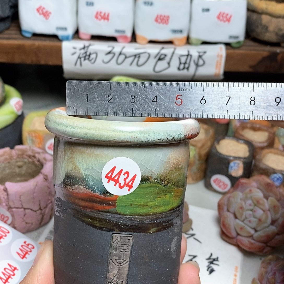 红陶拍5送一个小