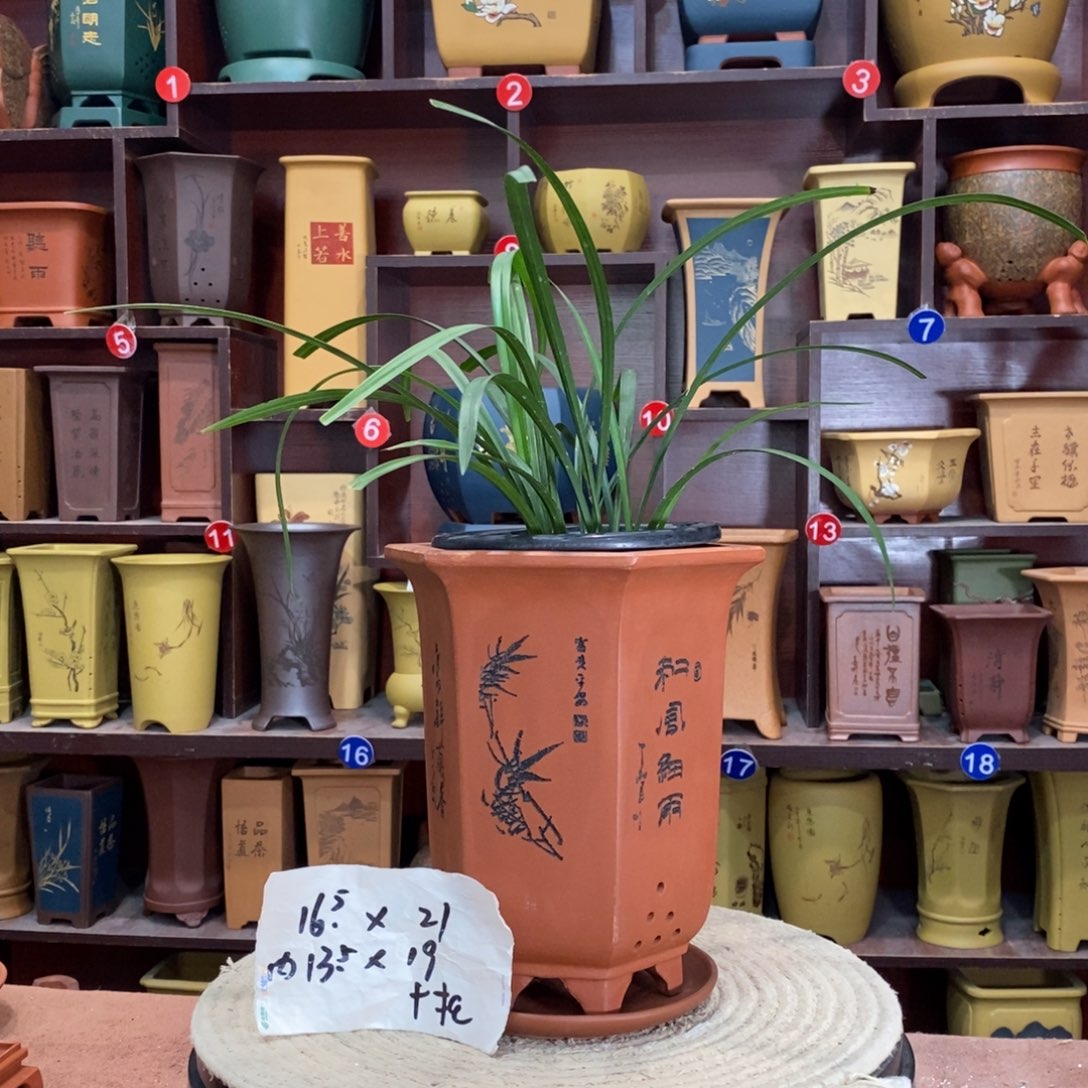 紫砂艺术紫砂花盆