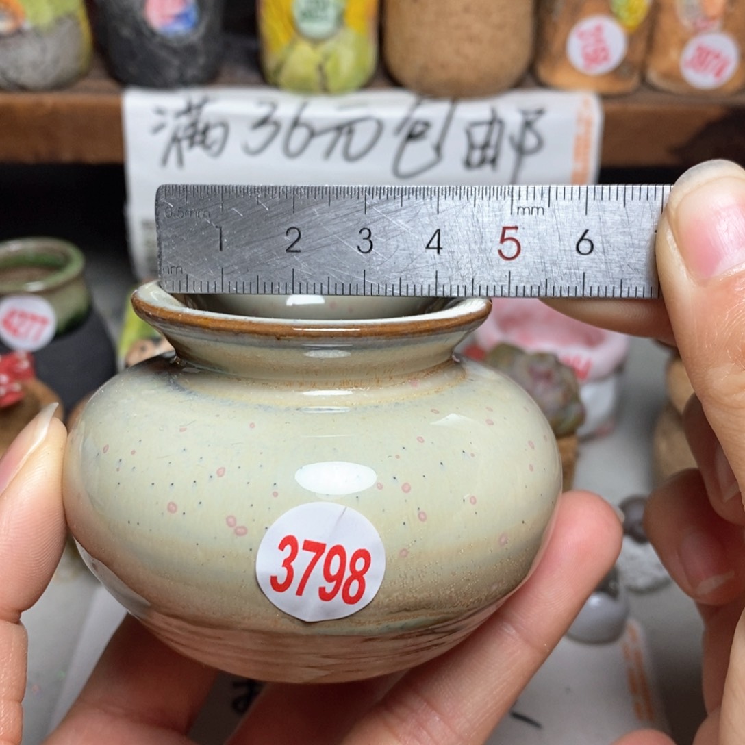 红陶拍5送一个小