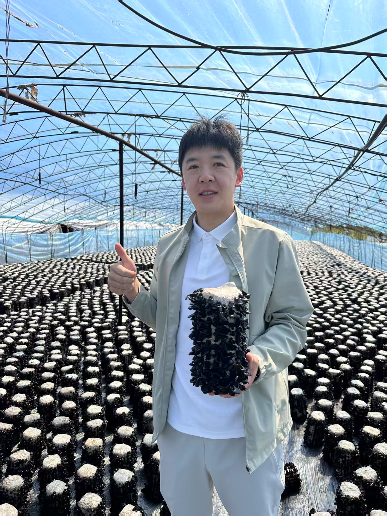 {小斌家2025年春木耳}肉厚干净筋道无增重高泡发干货