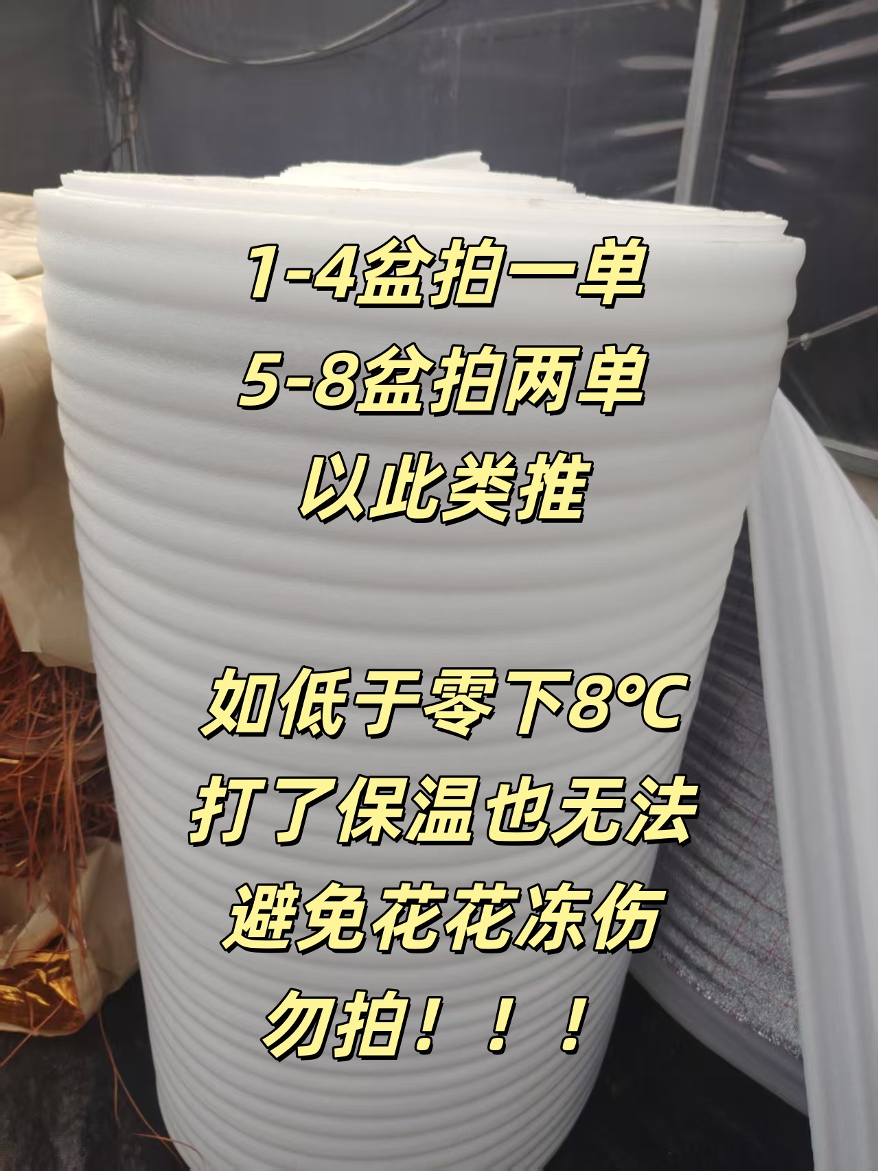 保温棉 物流防冻 低于零度必拍 不拍冻伤无售后