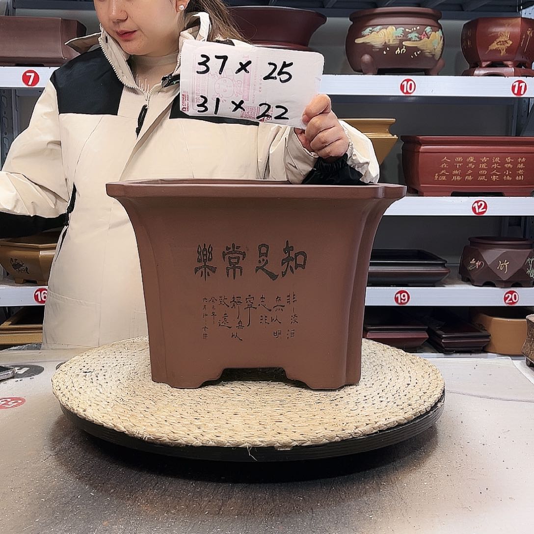 花盆紫砂紫砂花盆中