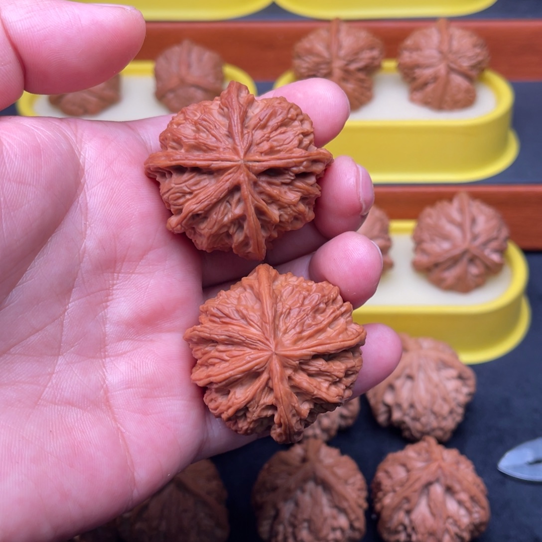 核桃手串/手链野牛五星上将45