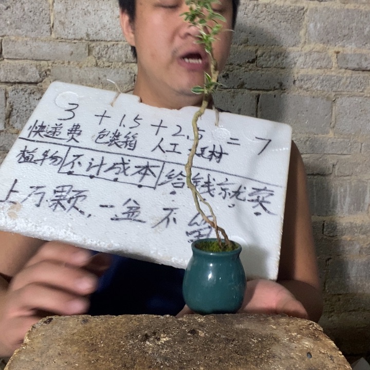 退款拉黑一物一拍132
