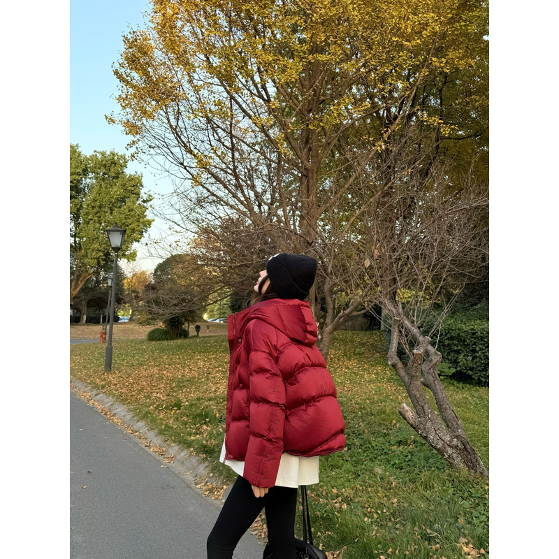 【ShawEleven】塔夫绸小富婆冬季厚款女短款高定连帽90白鹅绒服