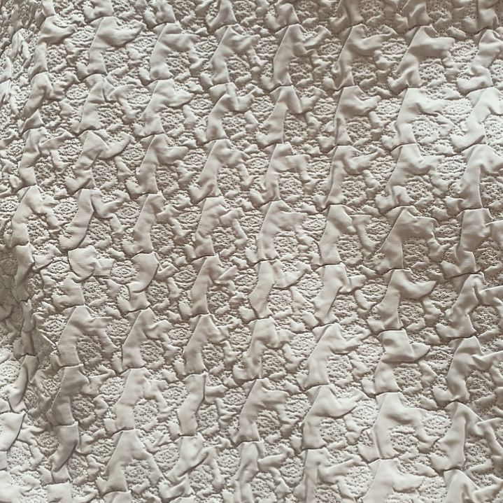 灰色玫瑰花3米！！！！