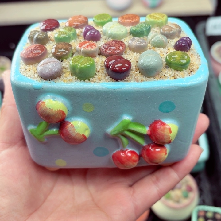 1008凑满18包邮零下地区记得拍保温箱