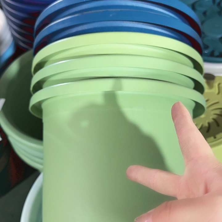 四季7号新绿色无托10个特价微瑕