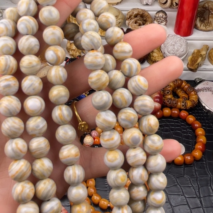 其他驼骨人工养殖10/108