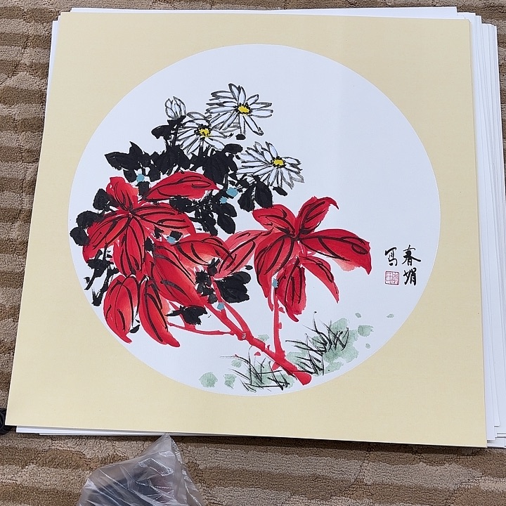 国画花鸟的翅膀和翅膀50.50