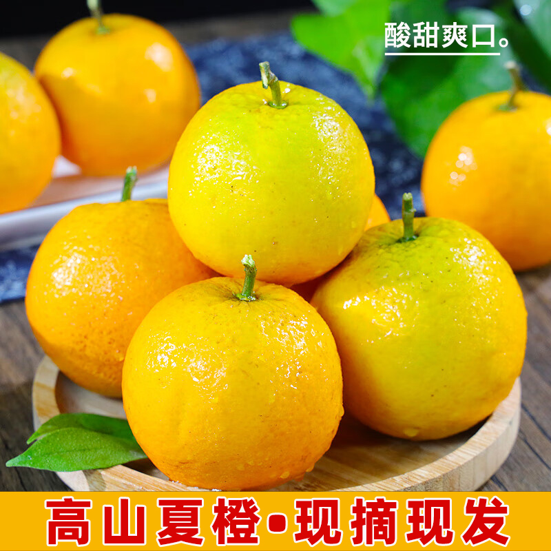 正宗新鲜夏橙9高山橙子当季水果现摘现发果冻橙冰糖橙脐橙包邮斤