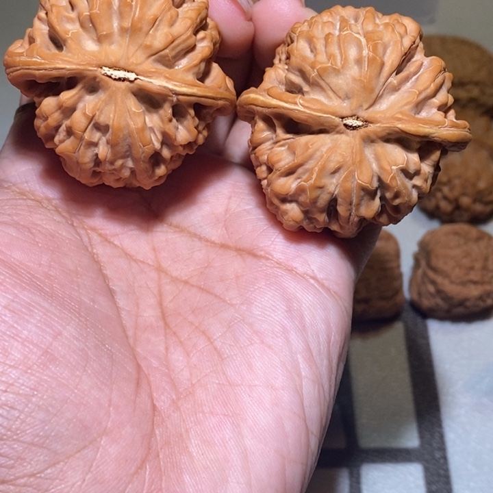 光***哥手串/手链核桃凤凰台