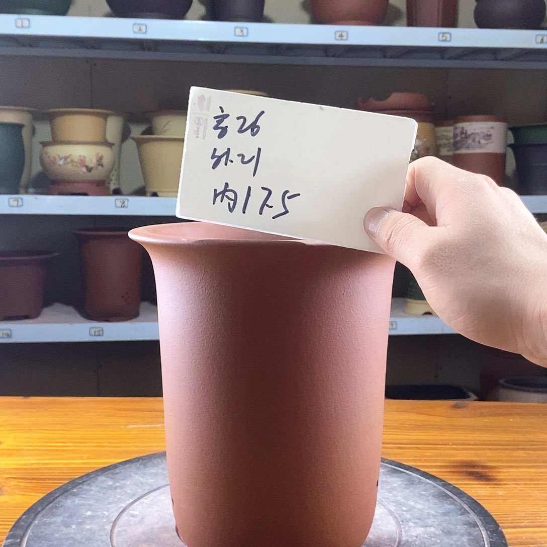 紫砂花盆紫砂兰花盆199