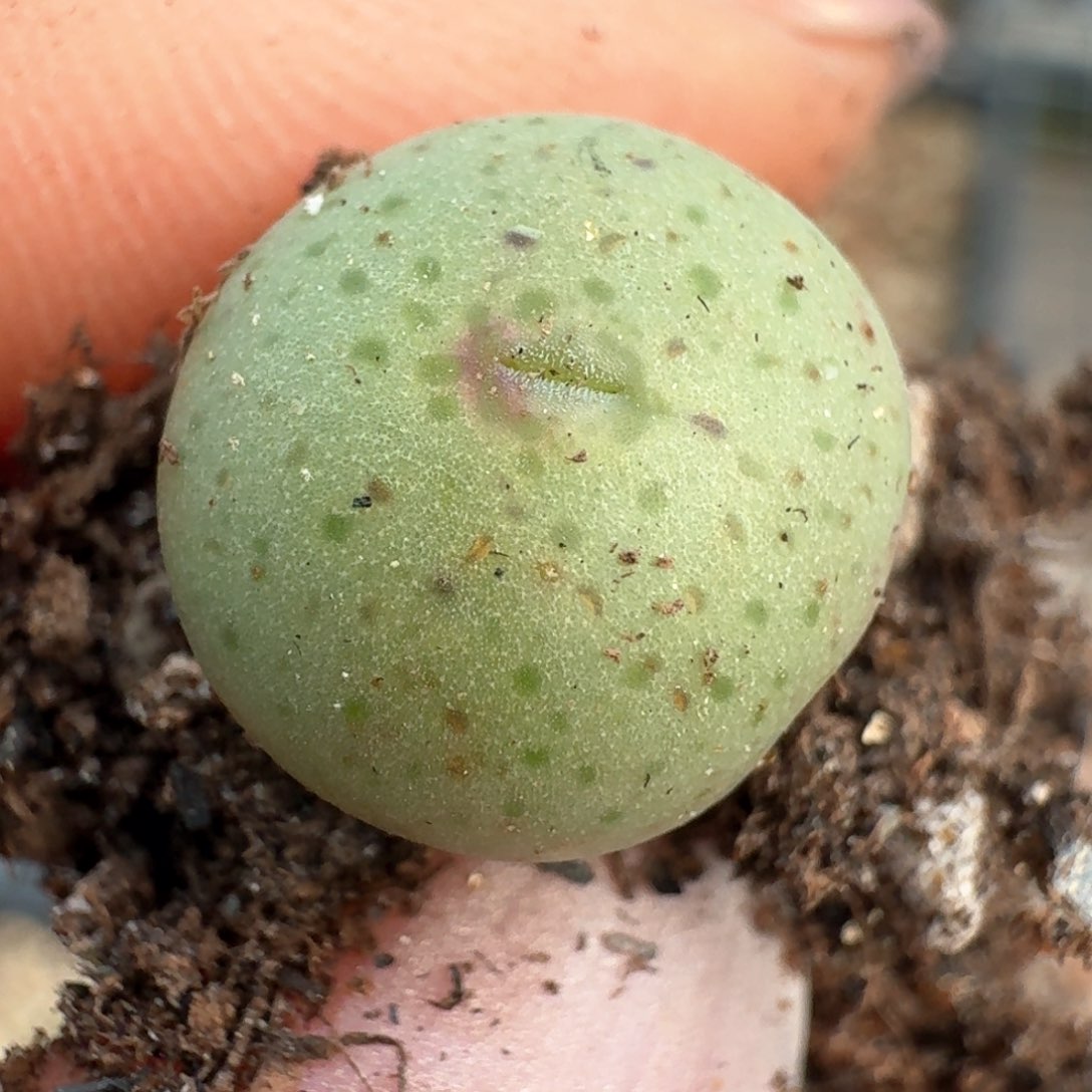 859小拳拳0000000000000