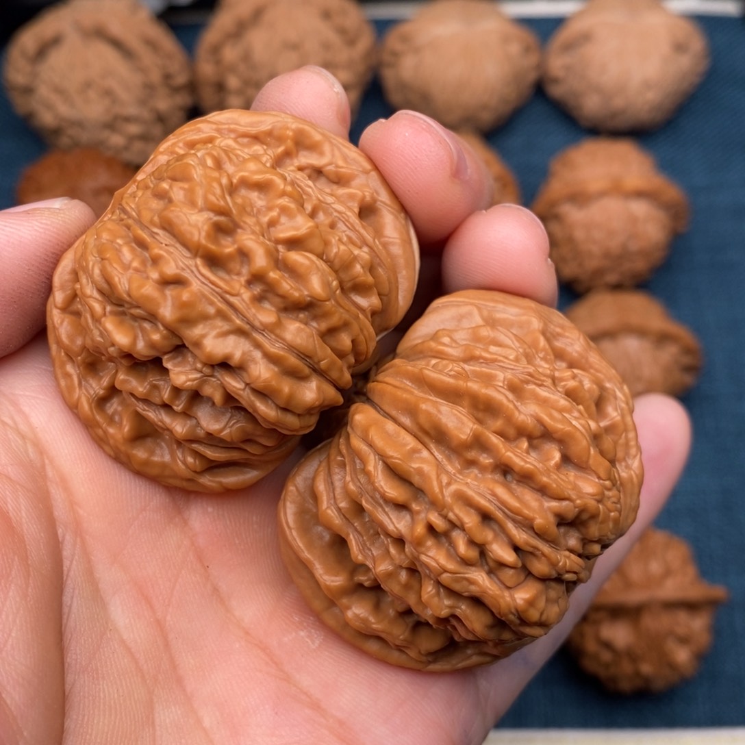 文玩核桃把件45红皮老树楼