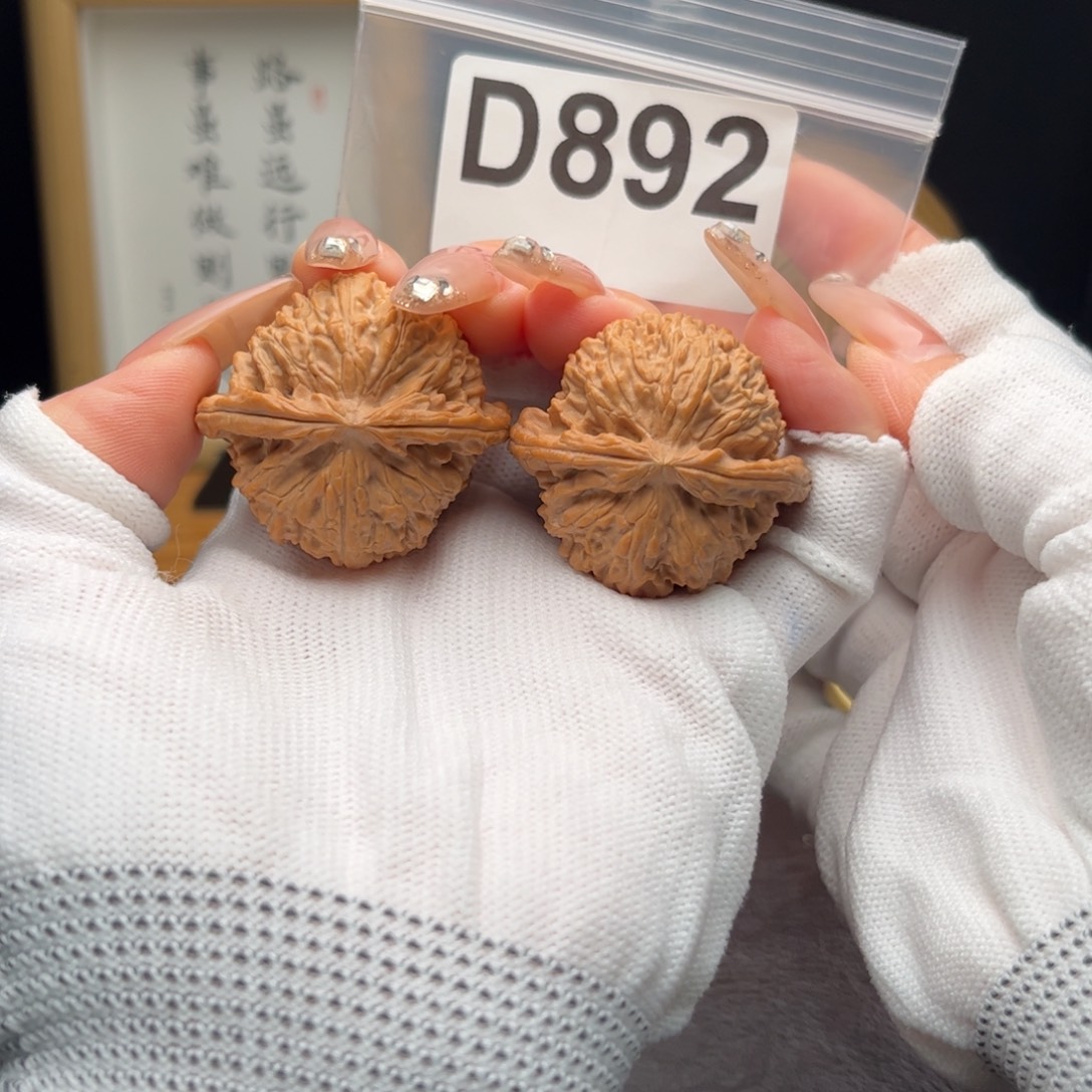 文玩核桃把件39白狮子d892