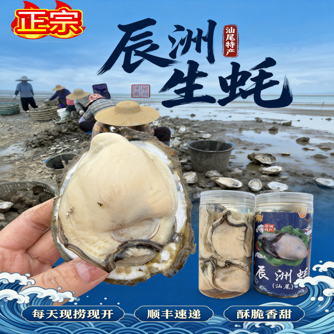 正宗汕尾辰洲生蚝现开鲜活生蚝产地晨洲蚝肉1斤2斤省内顺丰包邮