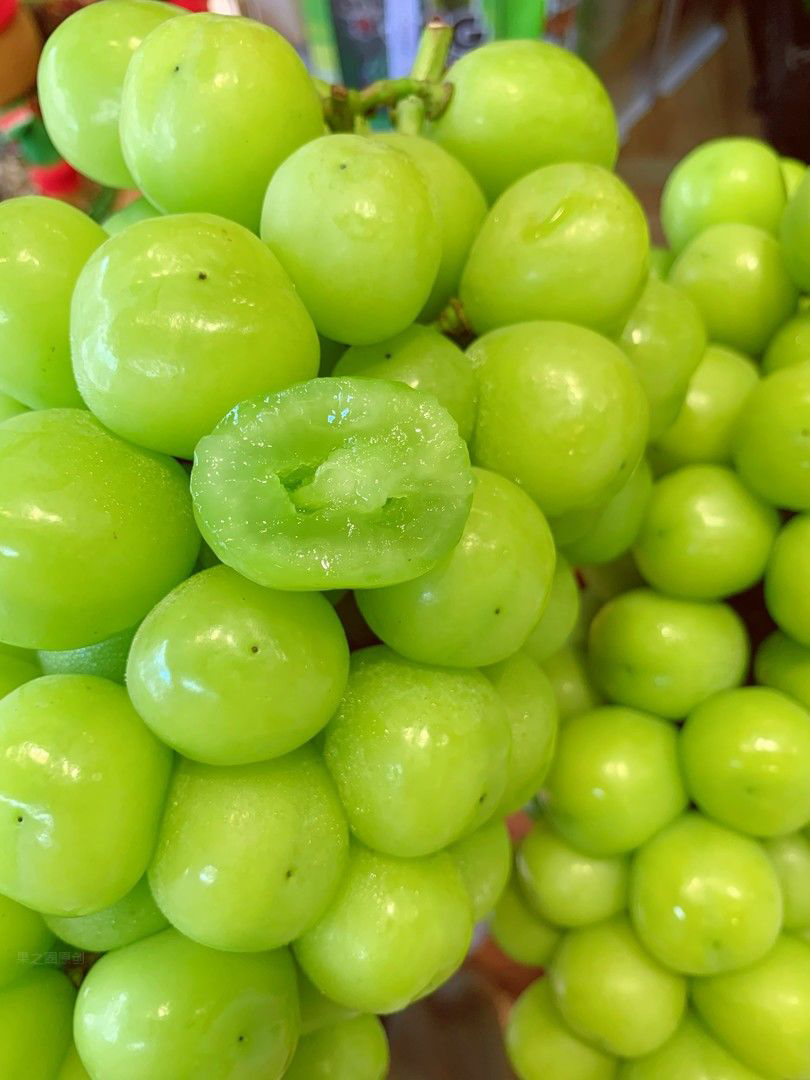 精品大晴王阳光玫瑰约1380g-1520g