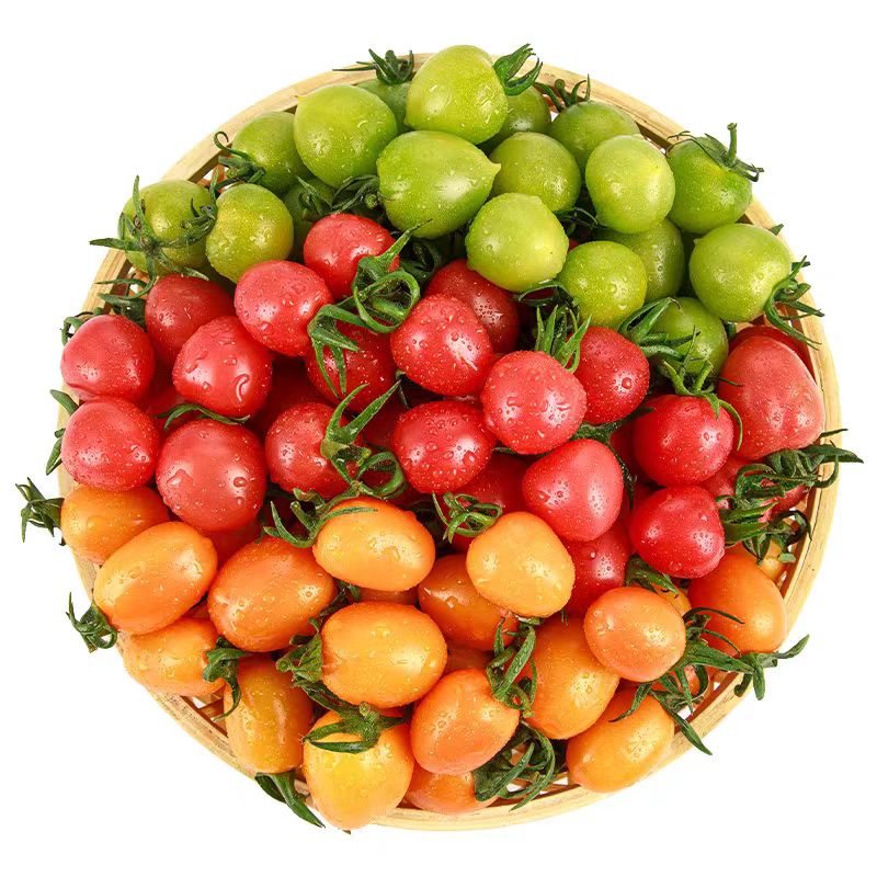 山东寿光三色千禧小番茄圣女果千玺小西红柿寿光三色酸甜小番茄