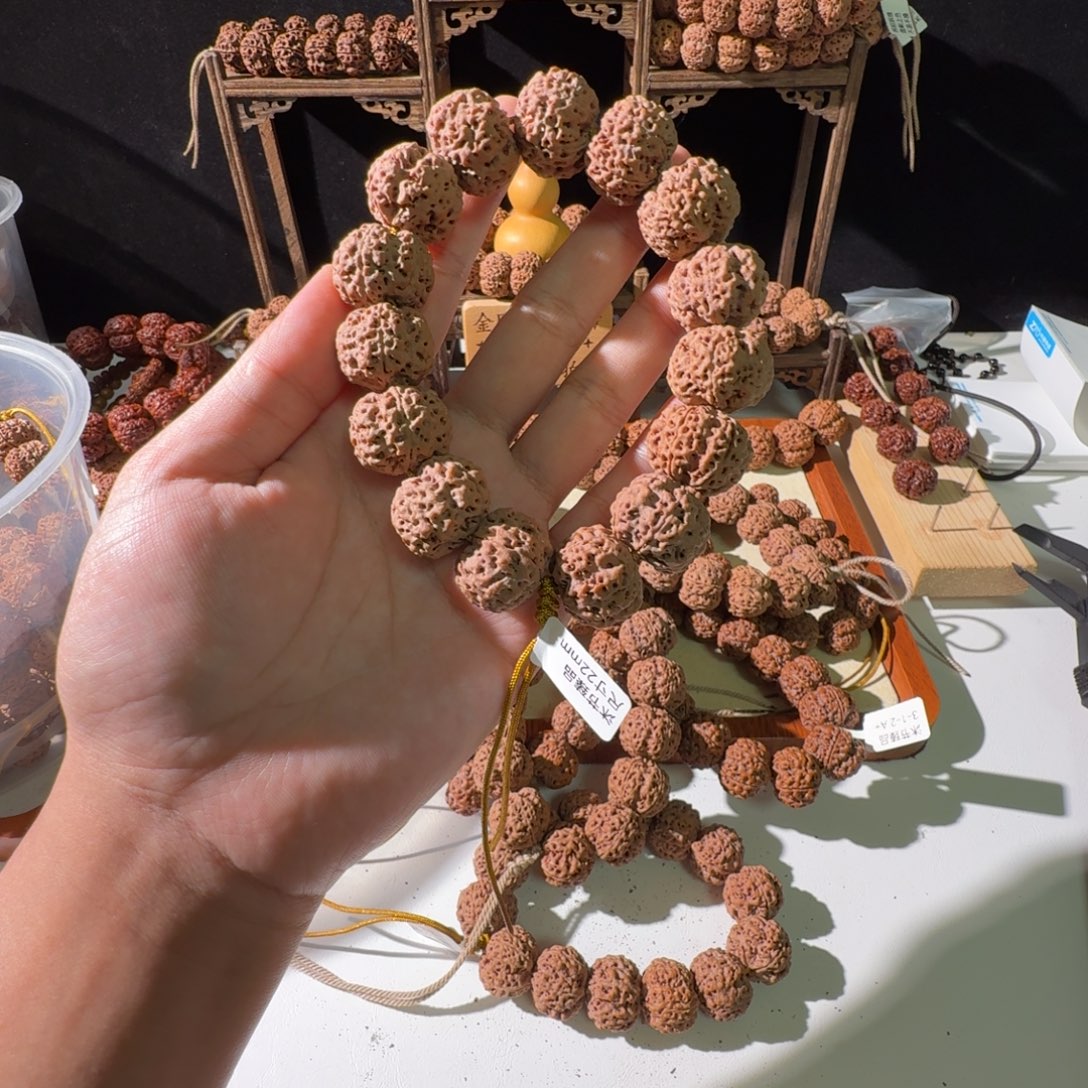 手串金刚菩提22尺寸梅花超头