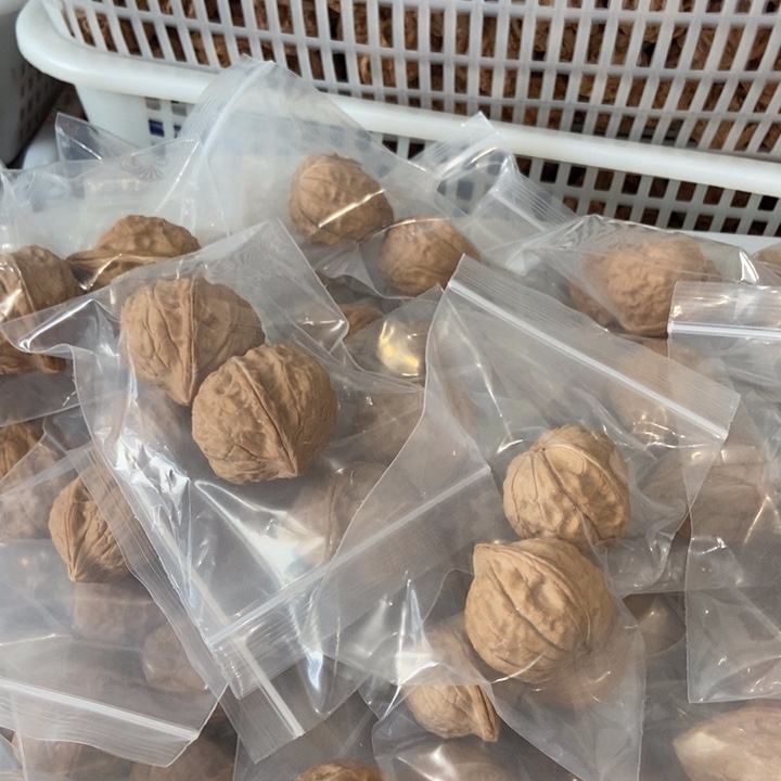 吊坠文玩核桃龟甲纹瑕疵