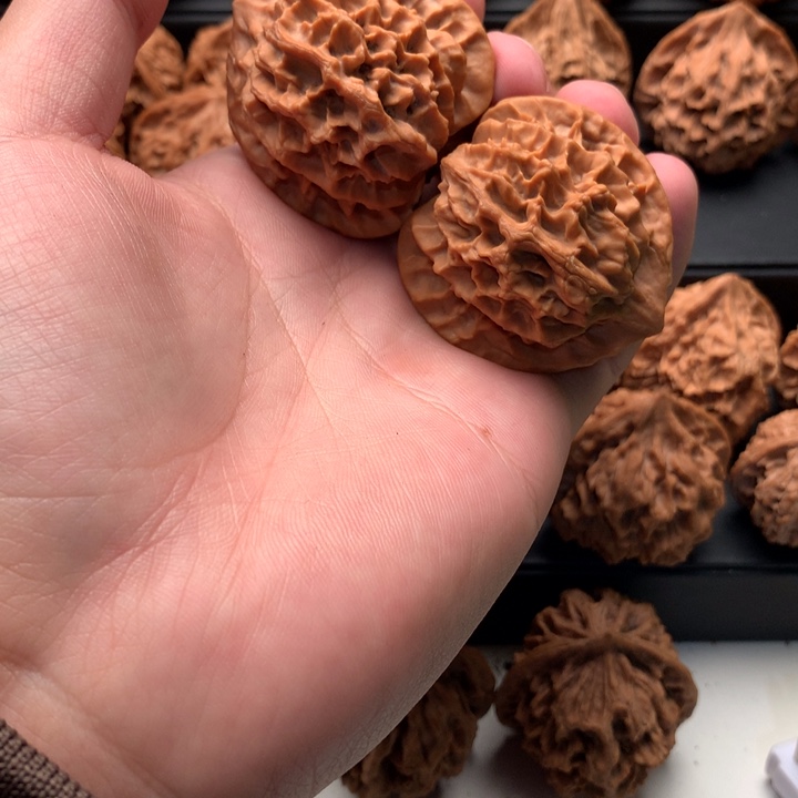 其他核桃用****0秦岭的一