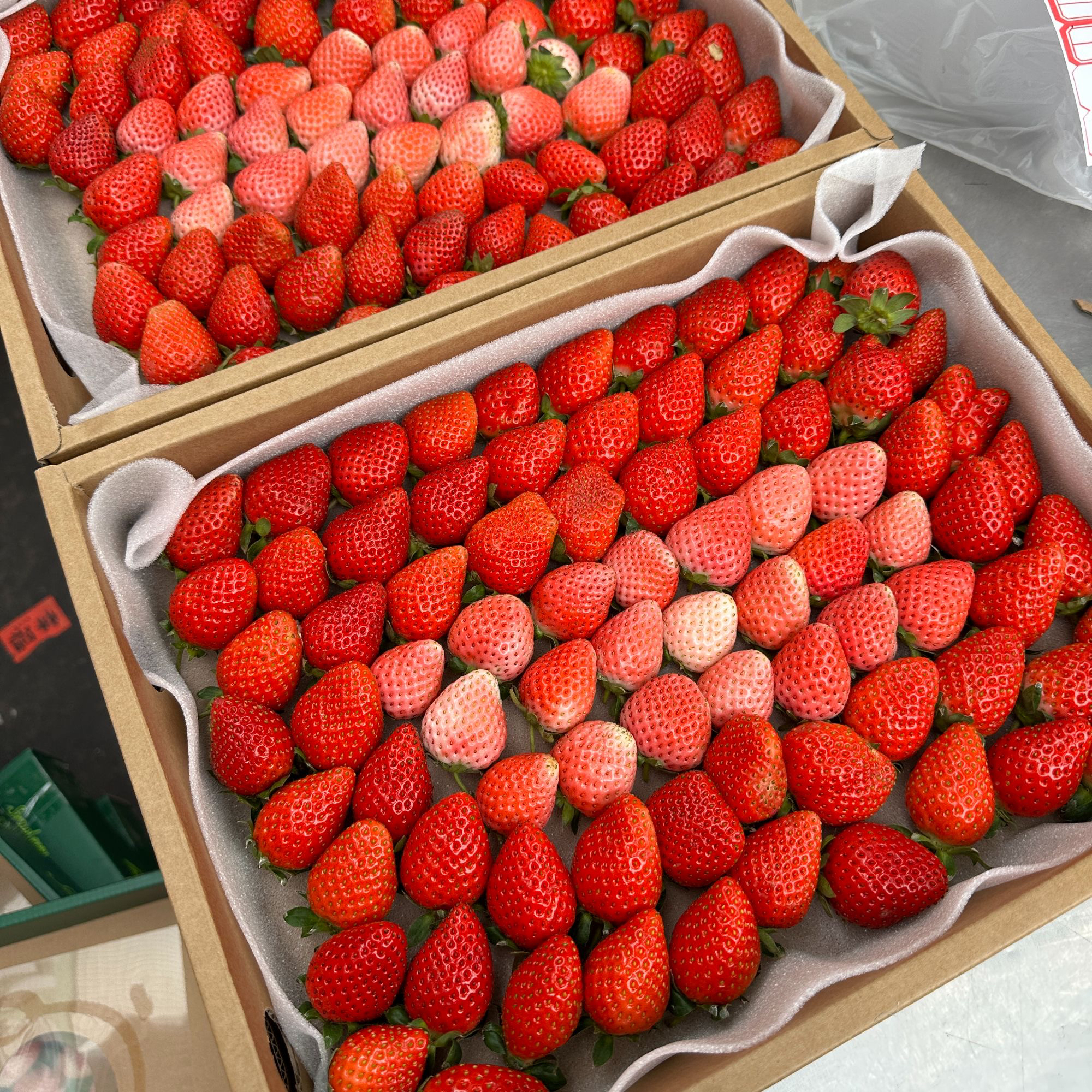 云南玉溪粉玉➕凤梨草莓双拼小果一件（1.5公斤）