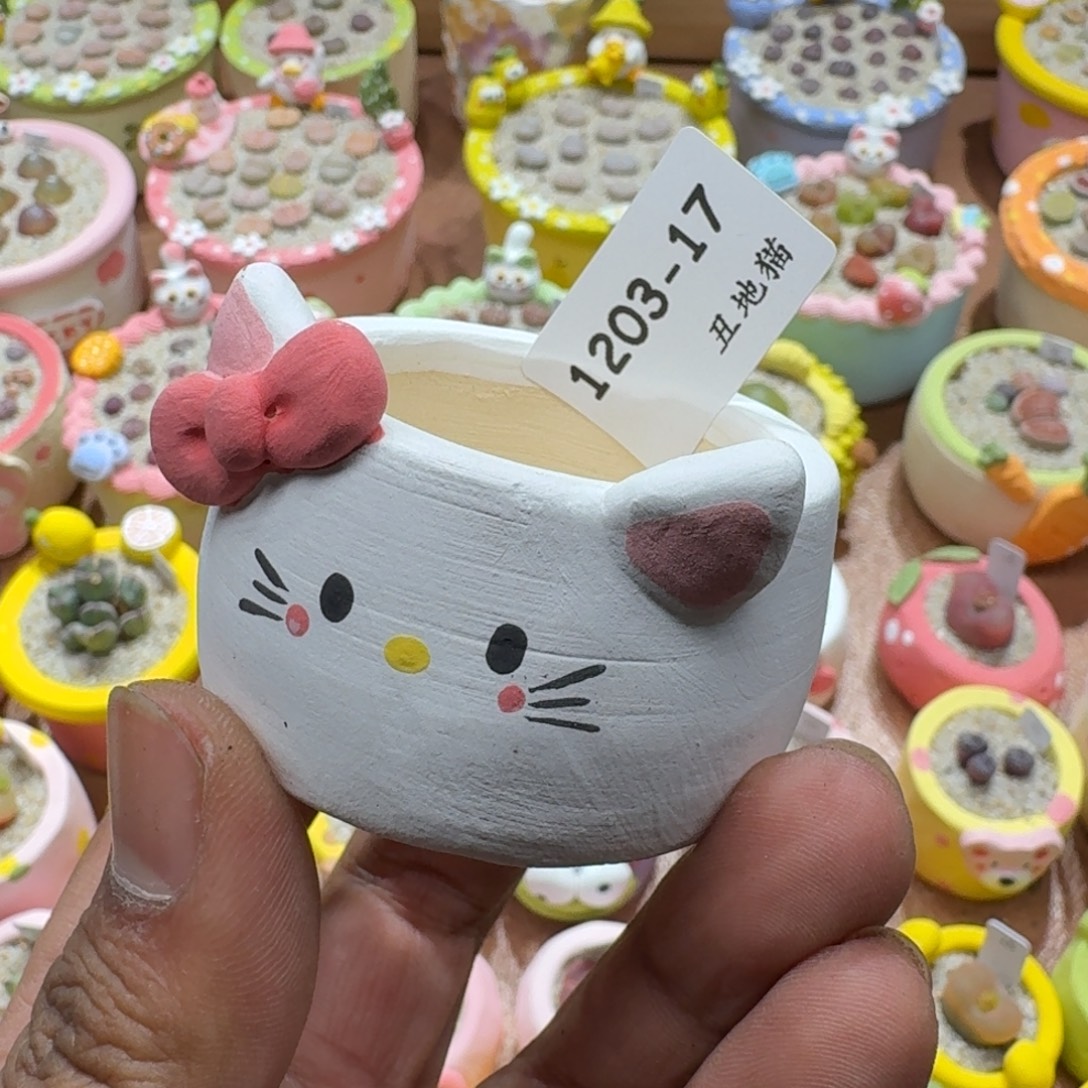 *****1203-017盆盆盆盆