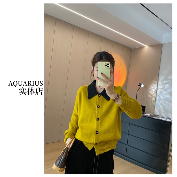 【AQUARIUS 】（昨日晴空）韩系翻领毛衣156
