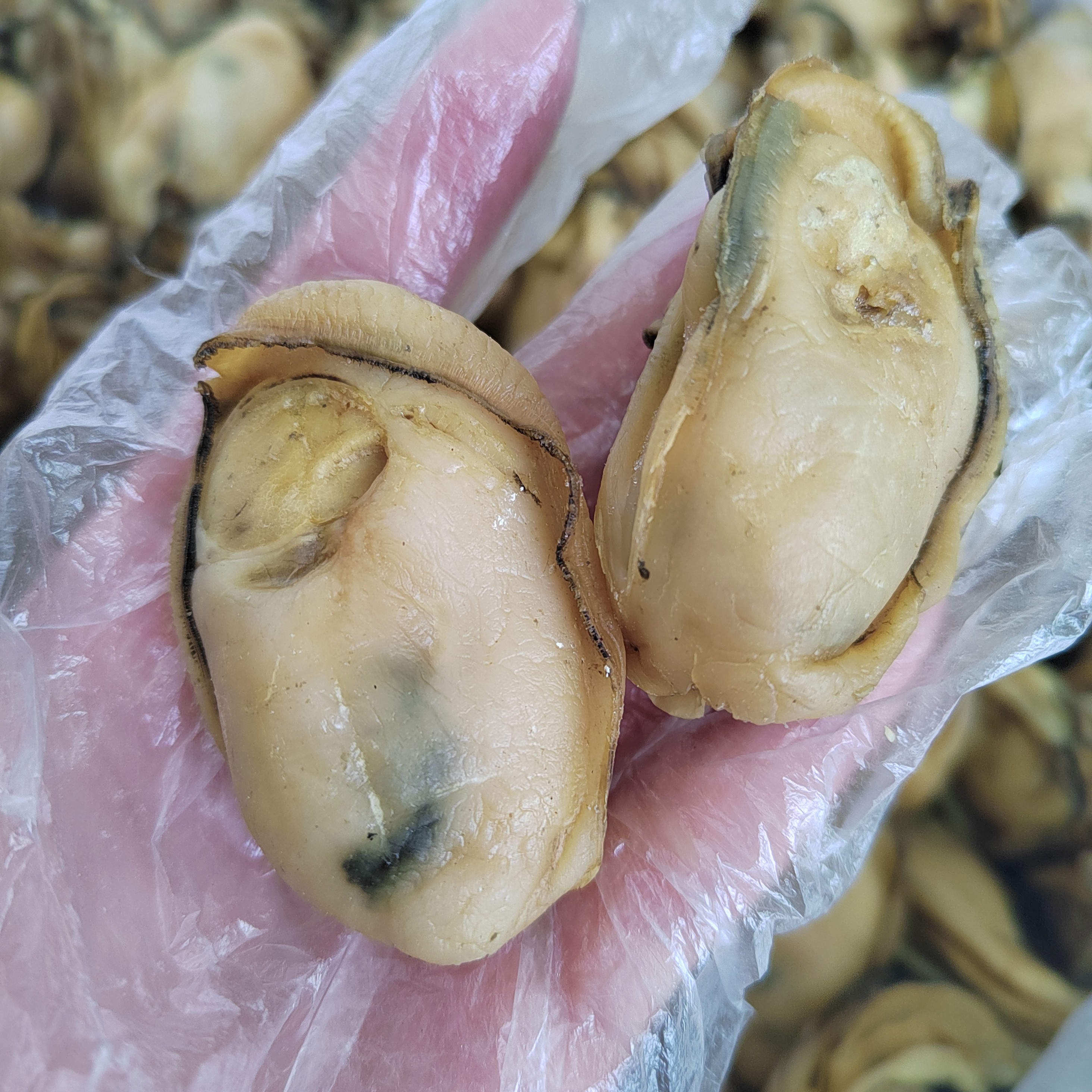 30头80头金蚝煲汤煲粥炒菜