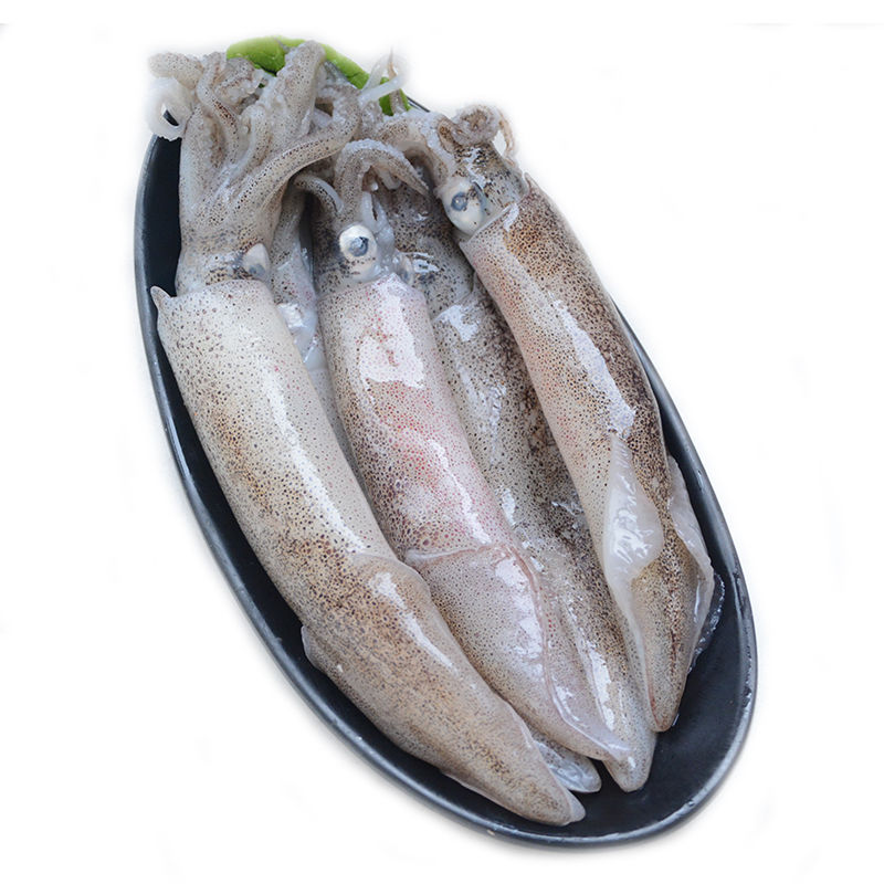 海兔速冻发货净重3斤