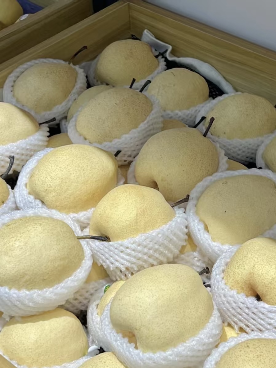 山西贡梨酥梨当季新鲜水果酥脆多汁甘甜可口颗颗爆汁果园直发