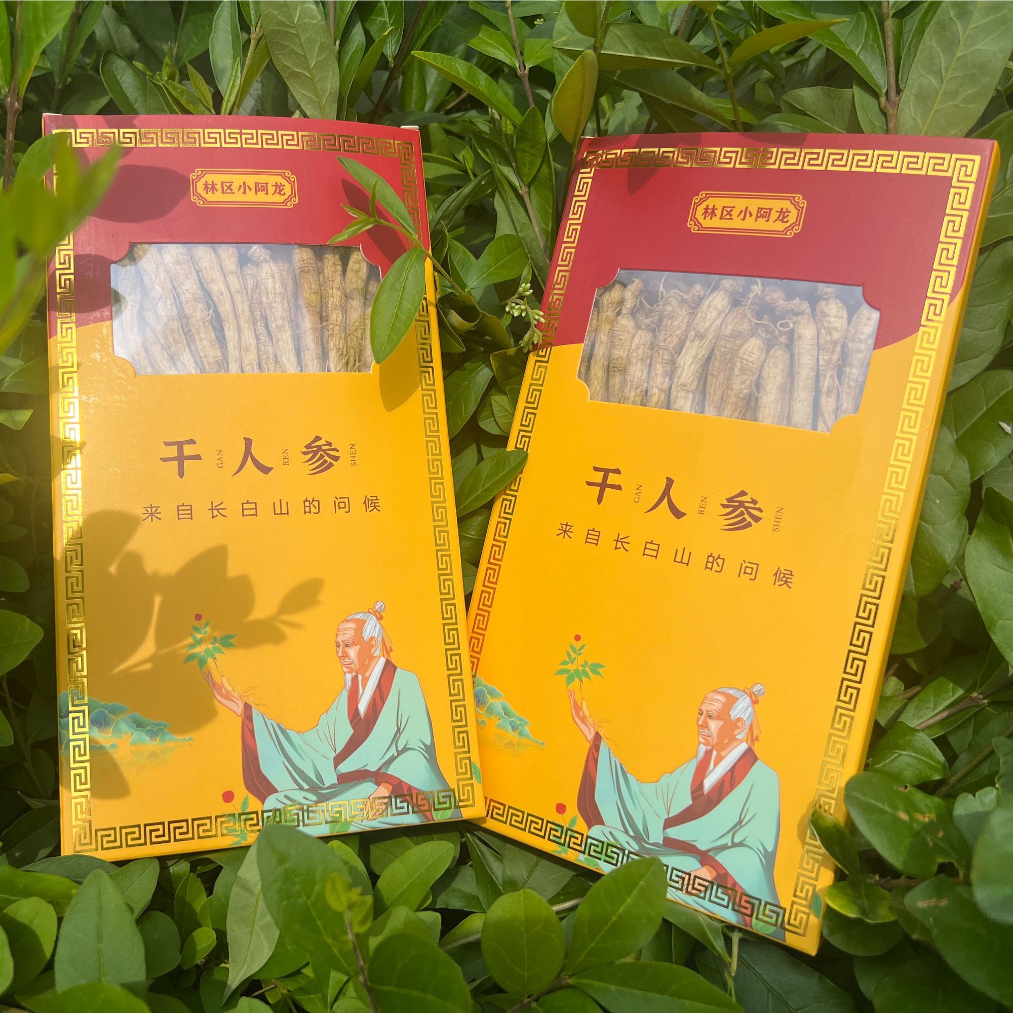 【阿龙干参】长白山 干人参 50g*2盒 泡酒泡水 红色礼盒款 包邮