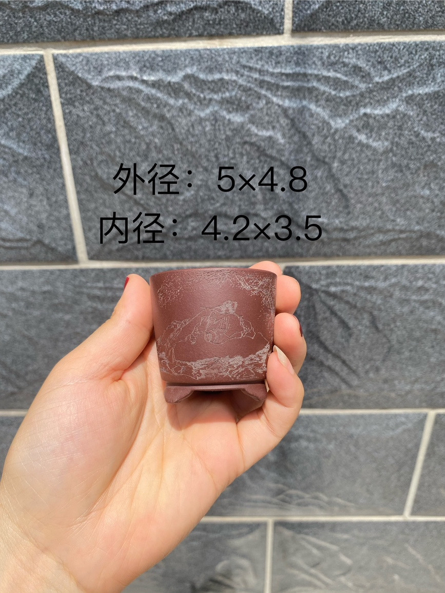 宜兴紫砂花盆紫泥圆盆刻绘