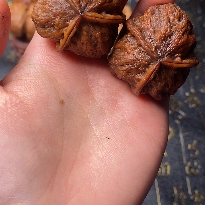 吊坠文玩核桃铁核桃9