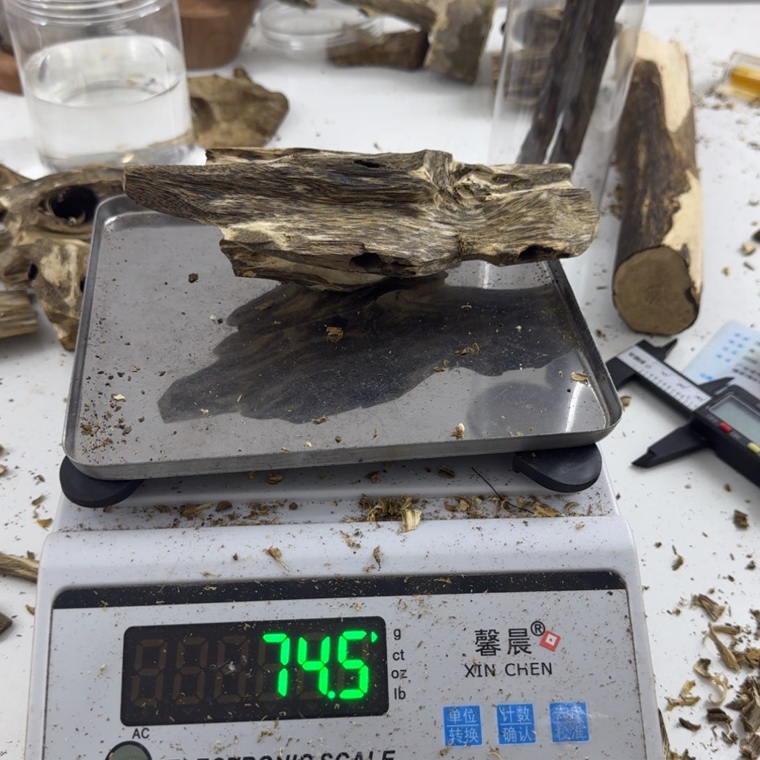 沉香沉香碎屑绿绮楠沉香74克陆河