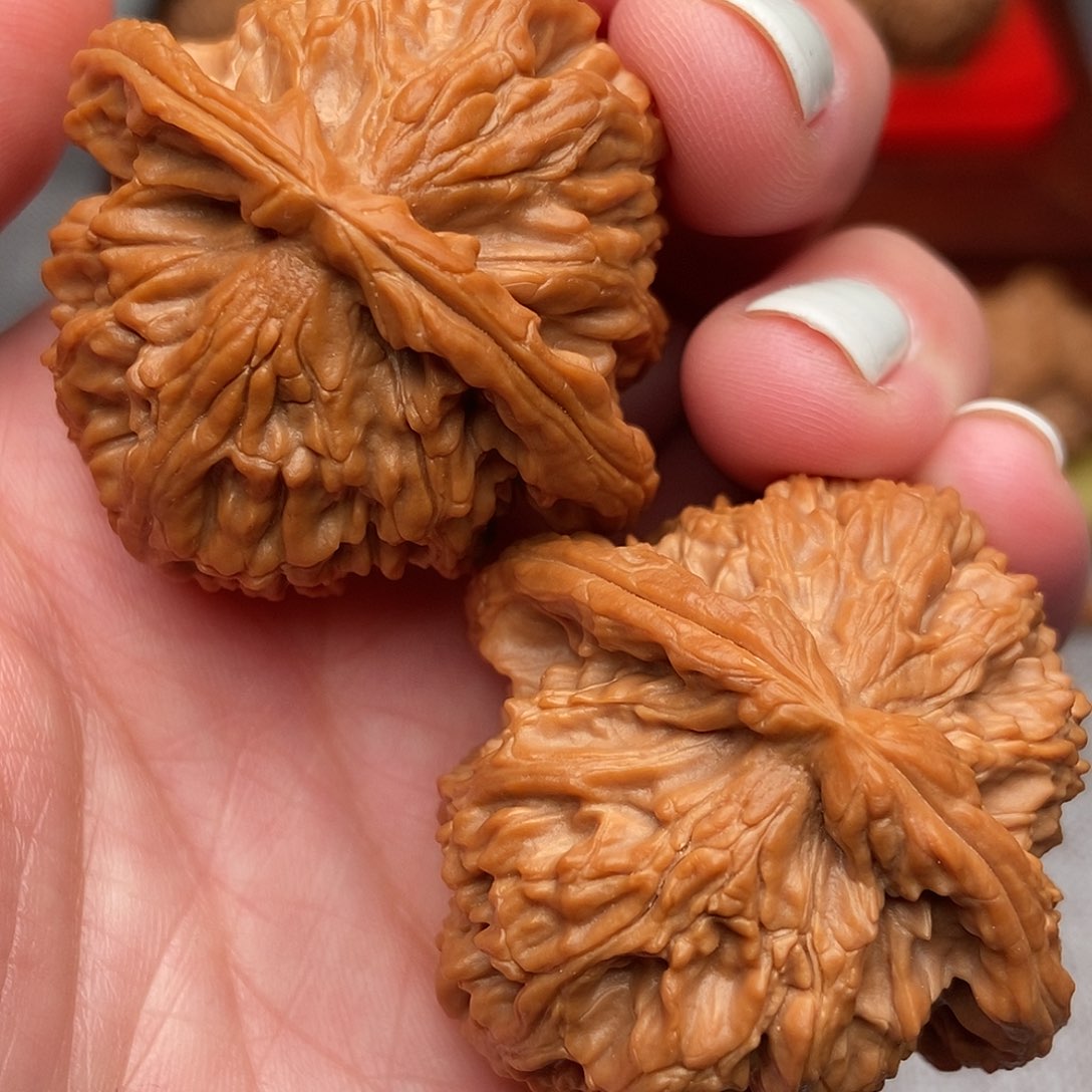 把件文玩核桃白狮子42全品