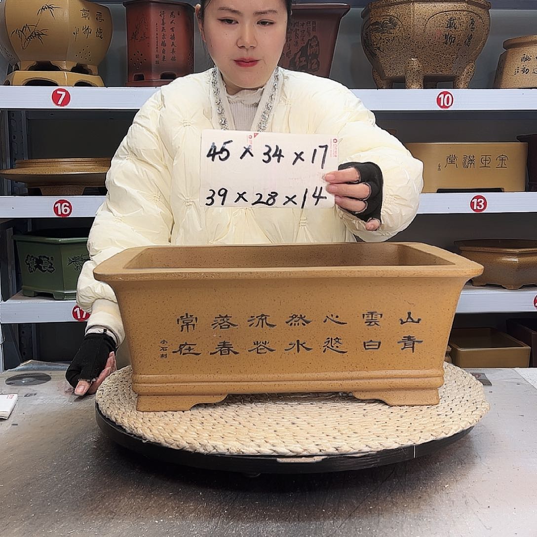 紫砂花盆紫砂花盆