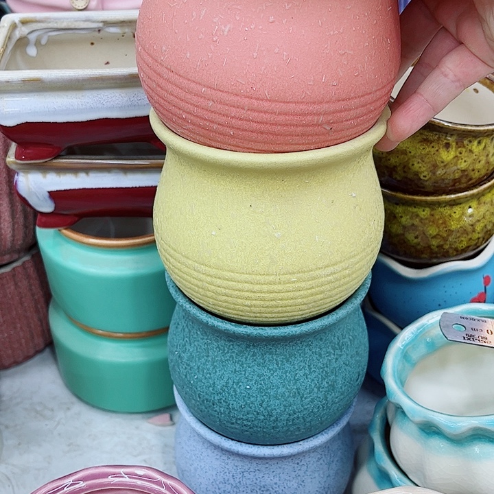 多肉植物陶瓷花盆