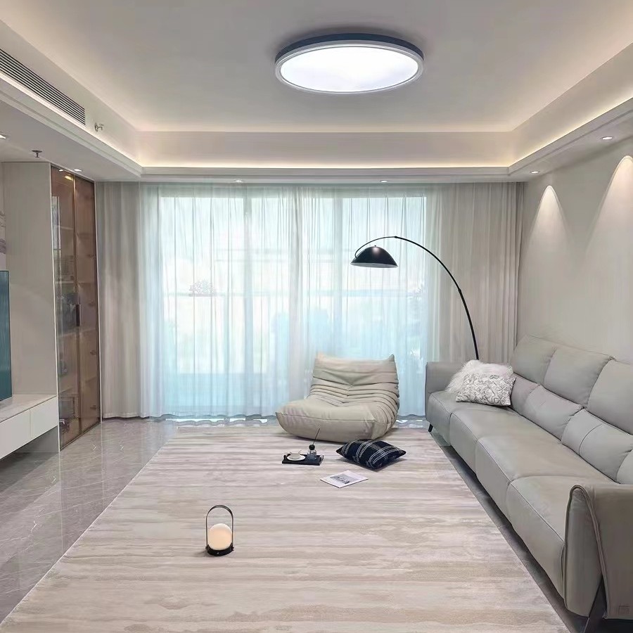 高档防水硅藻丝客厅地毯纯色卧室免洗可擦轻奢地毯客厅地毯客厅