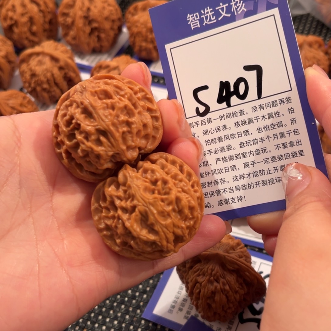 核桃S407号苹果园39尺