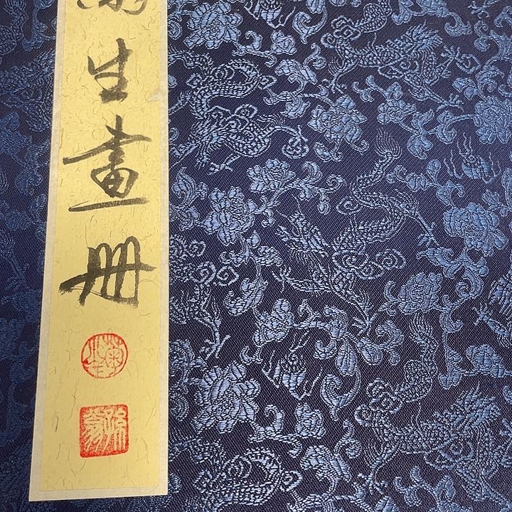 醉***栏横款孙老师册页大作