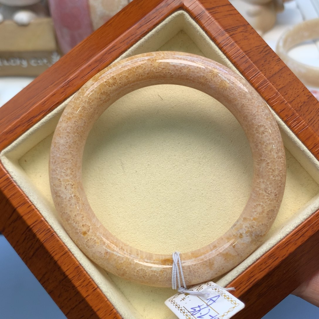 硅化珊瑚（珊瑚玉）手镯未镶嵌56.2口