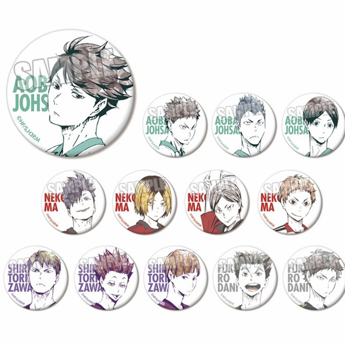 大清仓 【正版日谷】排球少年 水彩ani-art B款 吧唧徽章