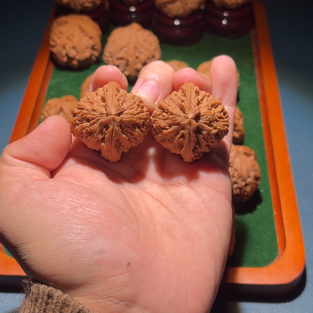 今***忧37全品南疆核桃核桃