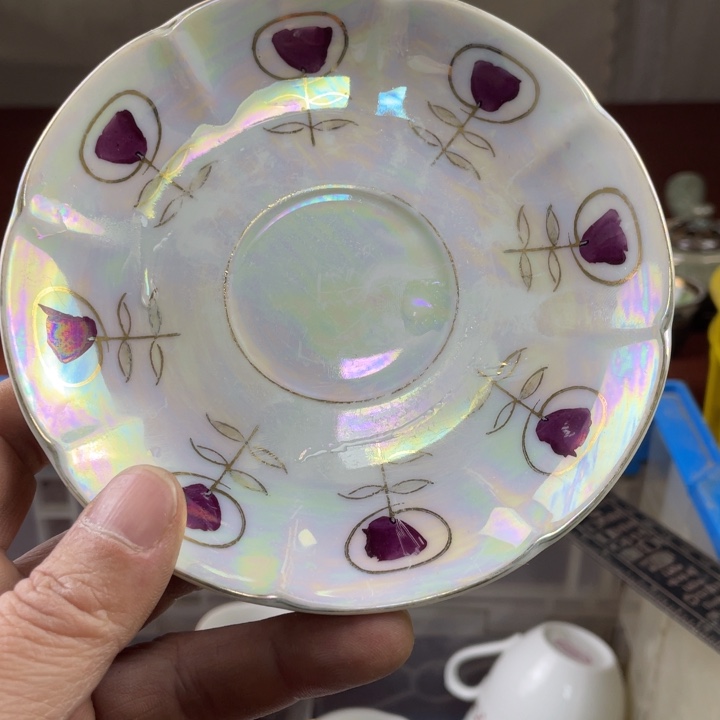 碟开播了开播了开播了