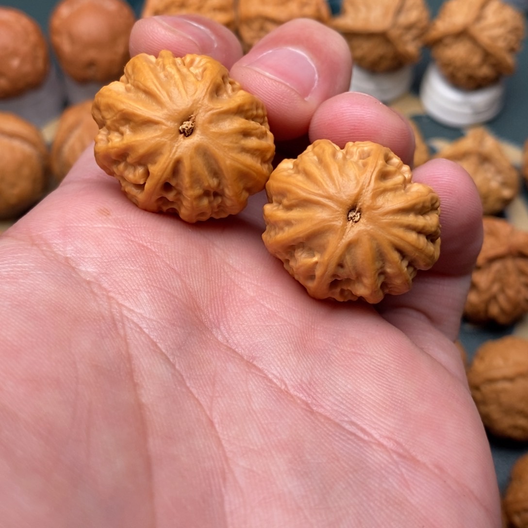 文玩核桃把件肉龙